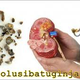Illustration for article titled obat batu ginjal alami